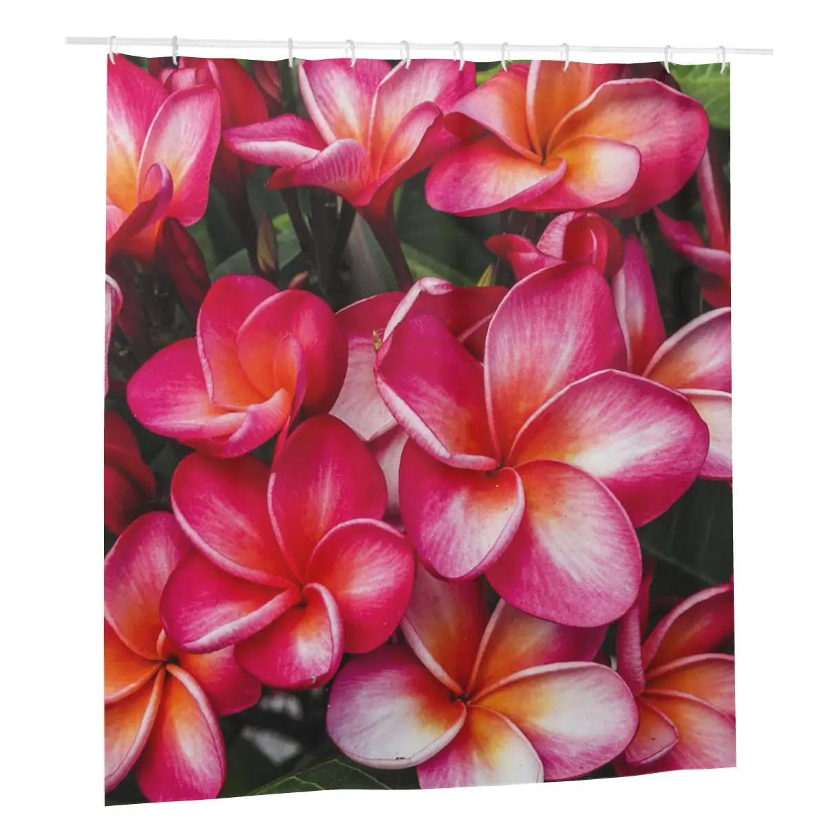 Red Shower Curtains Bathroom Bath Curtains Plumeria Flower Polyester Waterproof Thicken Curtain
Red Shower Curtains Bathroom Bath Curtains Plumeria Flower Polyester Waterproof Thicken Curtain