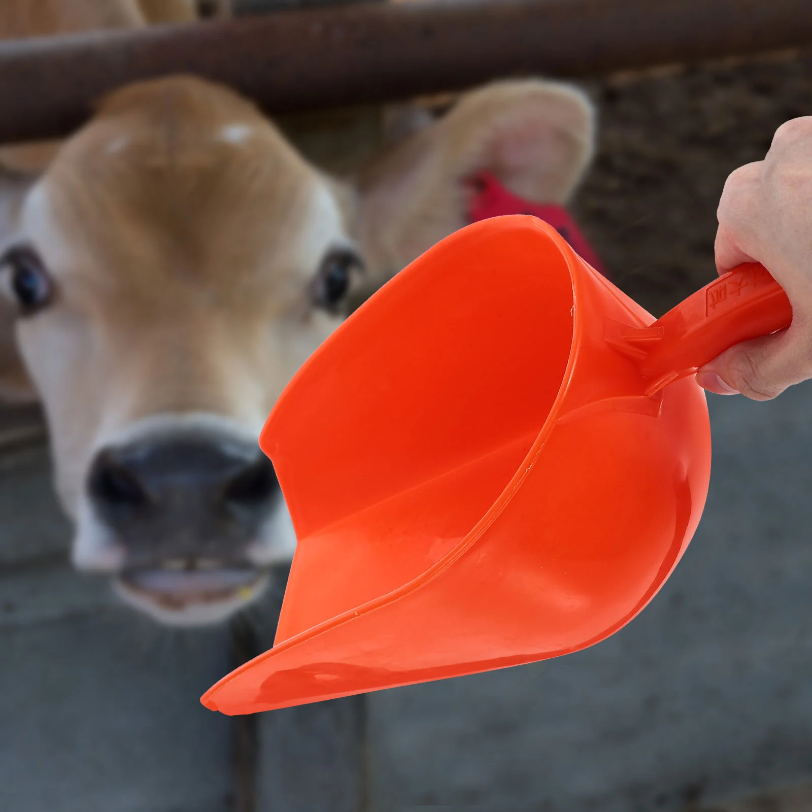 Large Scoop Reusable Plastic Poultry Handheld Garden High Capacity Farm Gadgets Food
Large Scoop Reusable Plastic Poultry Handheld Garden High Capacity Farm Gadgets Food
