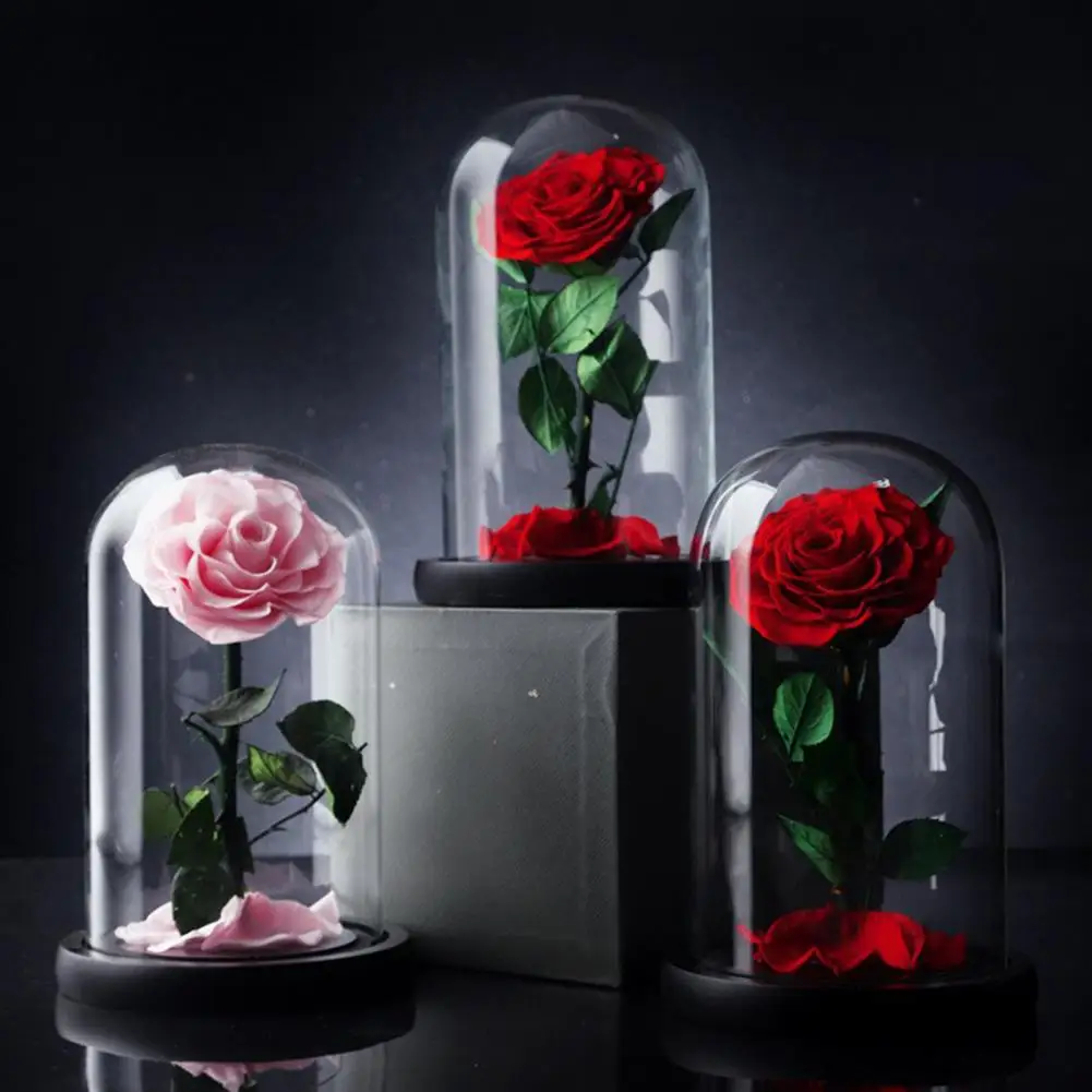 Preserved Flower Attractive Transparent Cover Anti-fade Artificial Eternal Forever Rose Decor Festival Supplies
Preserved Flower Attractive Transparent Cover Anti-fade Artificial Eternal Forever Rose Decor Festival Supplies