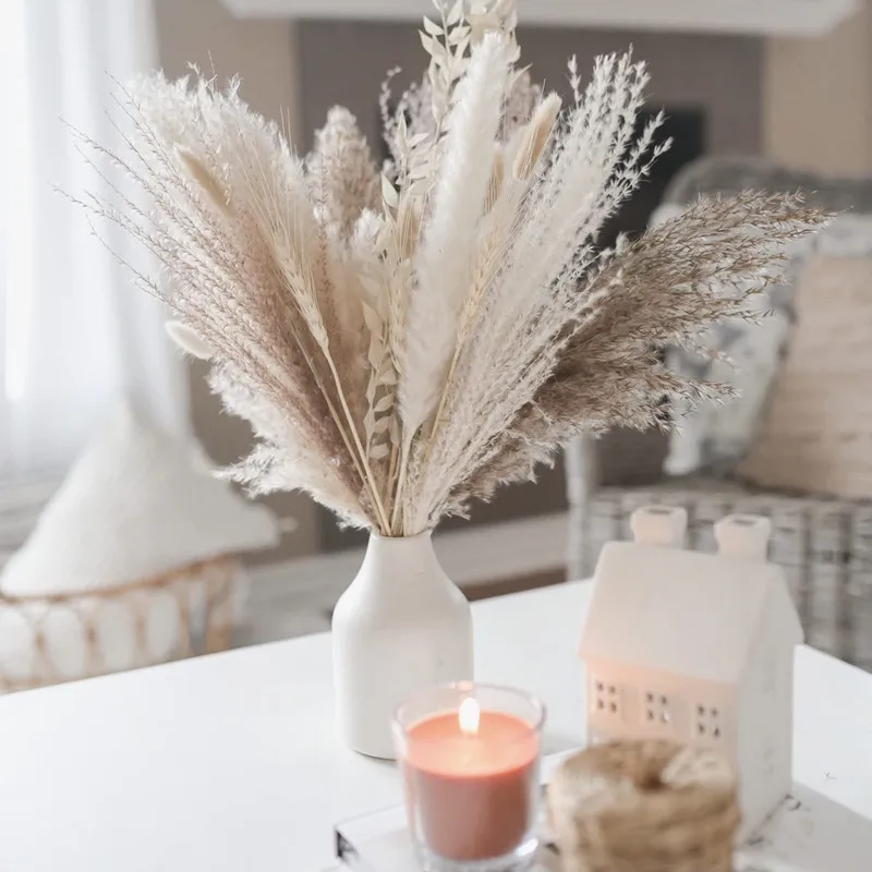 30pcs Natural Pampas Grass Dried Flower Backyard & Garden Pots & Planters Desk Bonsai Artificial Flowers for Boho Decor Wedding
30pcs Natural Pampas Grass Dried Flower Backyard & Garden Pots & Planters Desk Bonsai Artificial Flowers for Boho Decor Wedding