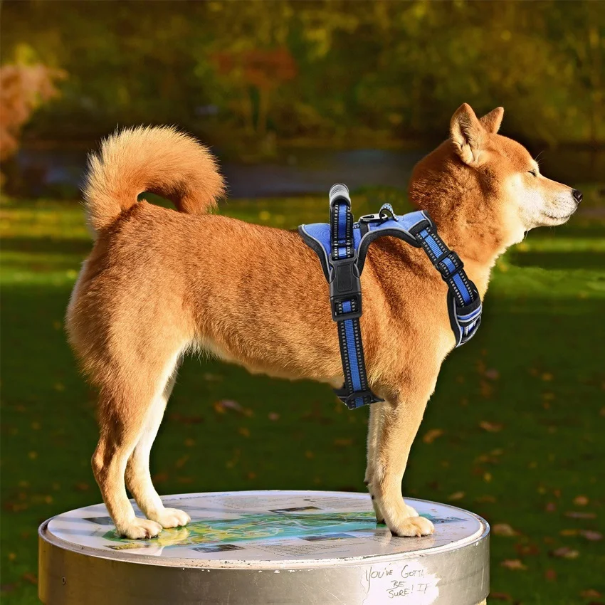 Dog Harness No Pull Breathable Reflective Pet Harness Vest For Small Large Dog Outdoor Running Dogs Training Accessories
Dog Harness No Pull Breathable Reflective Pet Harness Vest For Small Large Dog Outdoor Running Dogs Training Accessories