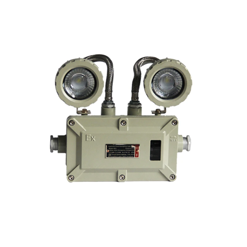 hot selling double head ip65 Explosion-proof LED rechargeable emergency light twin spot head lamp
hot selling double head ip65 Explosion-proof LED rechargeable emergency light twin spot head lamp