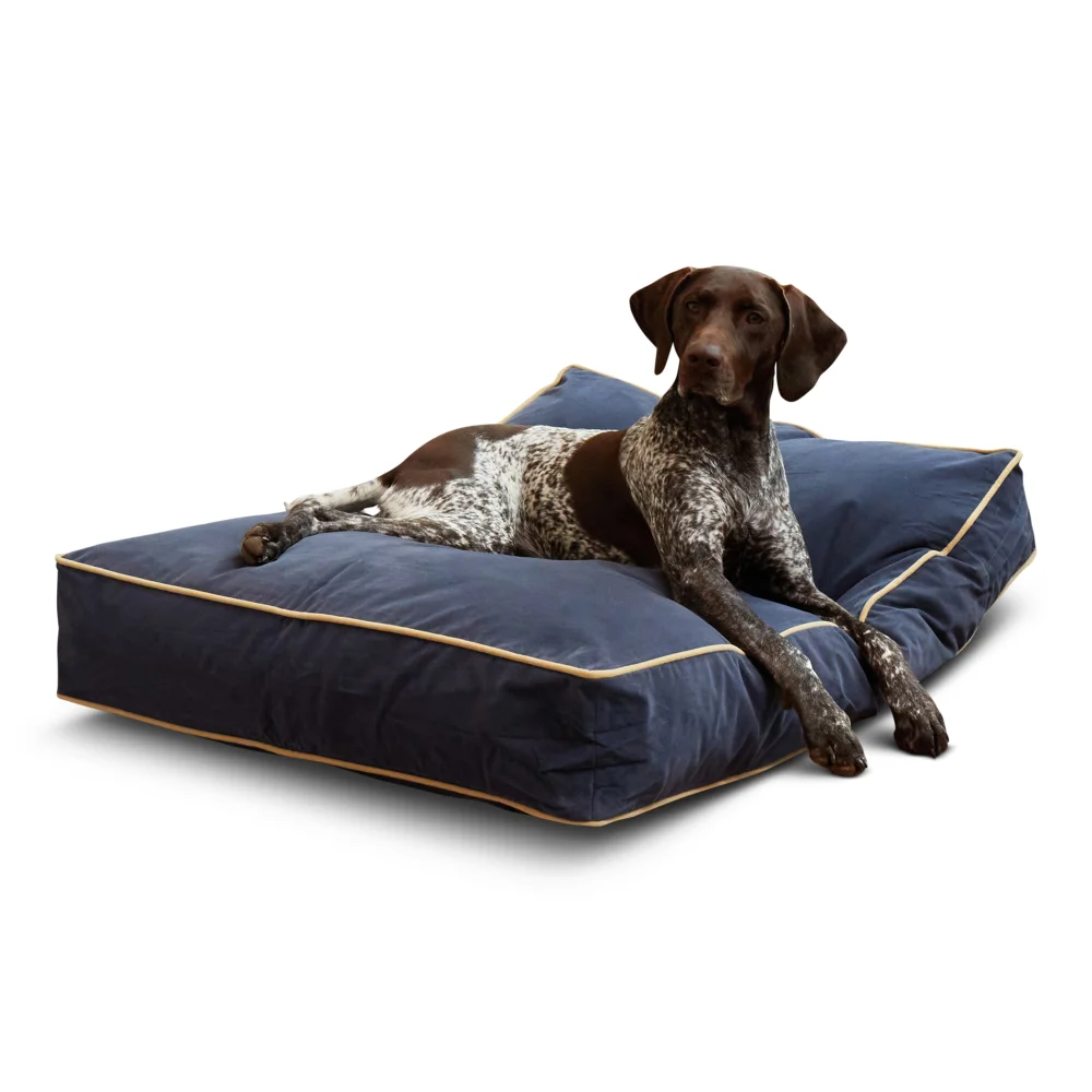 Buster Rectangle Pillow Style Dog Bed, Denim, Medium (42 x 30 in.) Veterinaria Clinic Equipment Dog Breeding Supplies
Buster Rectangle Pillow Style Dog Bed, Denim, Medium (42 x 30 in.) Veterinaria Clinic Equipment Dog Breeding Supplies