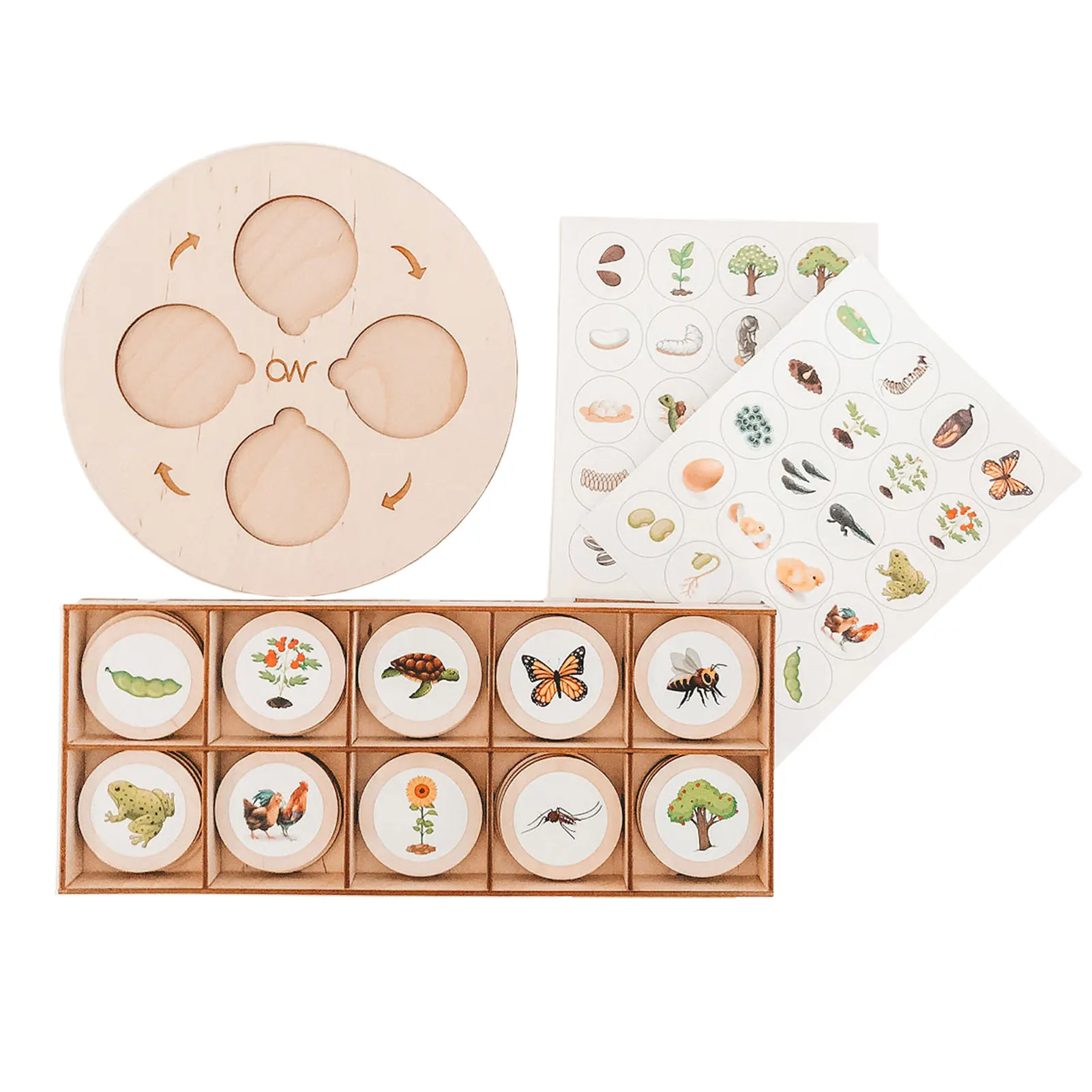 Новый Пазл с жизненным циклом для маленьких детей, деревянные головоломки с жизненным циклом и пятью ячейками для раннего развития
Новый Пазл с жизненным циклом для маленьких детей, деревянные головоломки с жизненным циклом и пятью ячейками для раннего развития