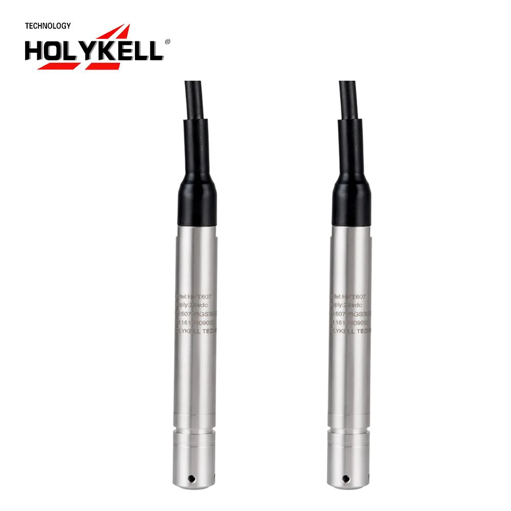 Holykell Wholesale Hpt607 Analog Small Diameter Water Well Level Sensor 
Holykell Wholesale Hpt607 Analog Small Diameter Water Well Level Sensor
