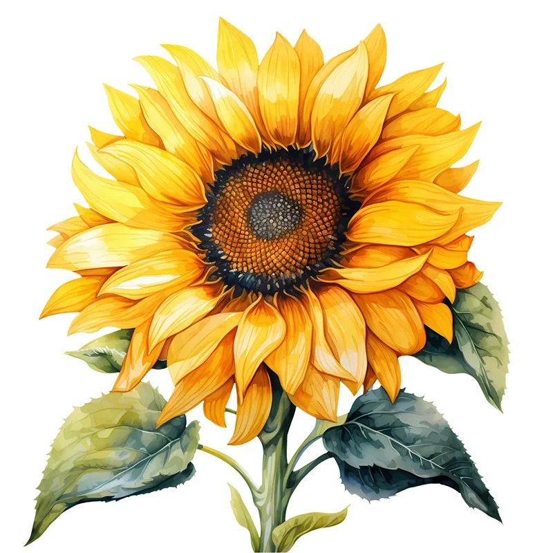 Виниловые наклейки с подсолнухом
Виниловые наклейки с подсолнухом