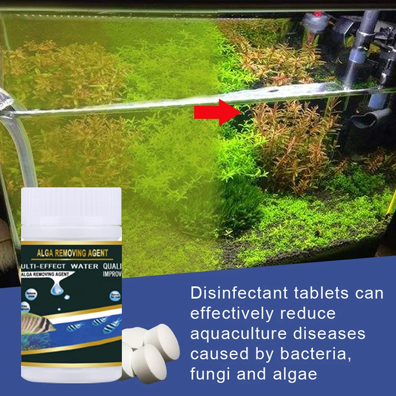 Fish Tank Moss Remover Aquarium Algae Removal Tablets Aquarium Cleaning For Fish Tank Aquarium Cleaning Tools Acquario
Fish Tank Moss Remover Aquarium Algae Removal Tablets Aquarium Cleaning For Fish Tank Aquarium Cleaning Tools Acquario