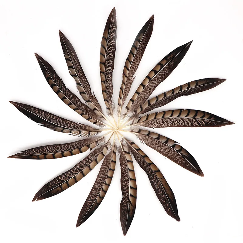 Натуральные леди амгерст фазаньи, 100 шт., 20-25 см, боковые хвосты фазаньи, куриные перья, Шлейфы для рукоделия, украшения
Натуральные леди амгерст фазаньи, 100 шт., 20-25 см, боковые хвосты фазаньи, куриные перья, Шлейфы для рукоделия, украшения