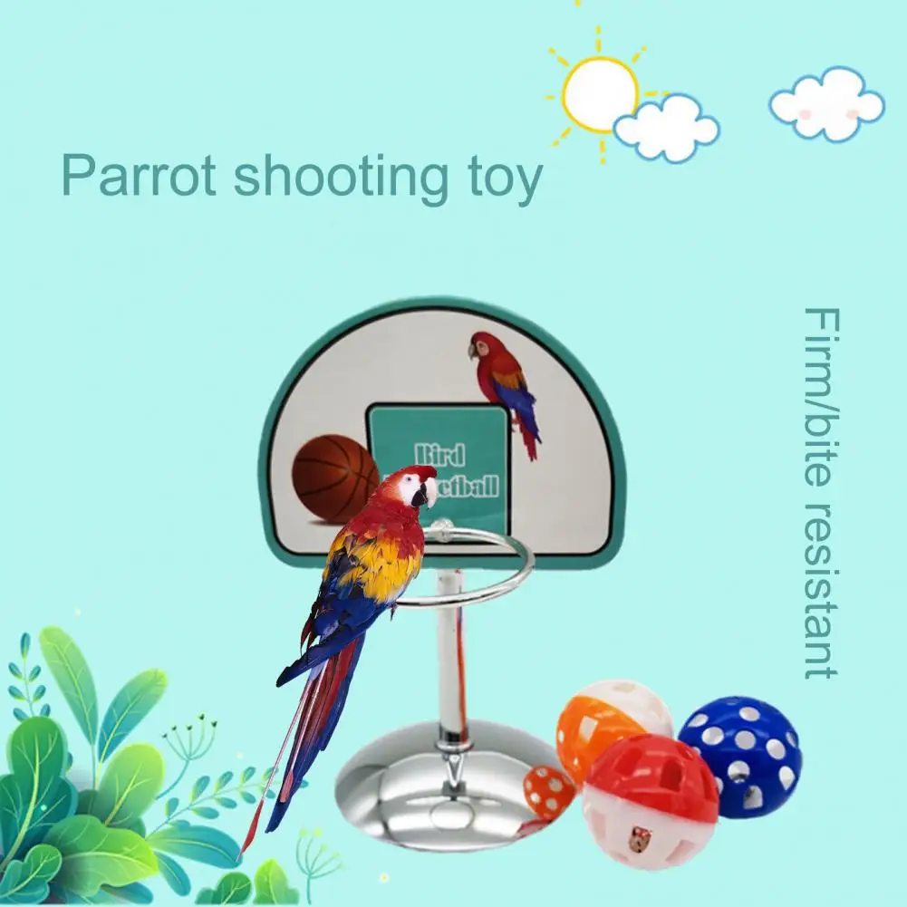 

Practical Bird Training Toy Stable Structure Durable Detachable Parrot Training Toy Bird Supplies