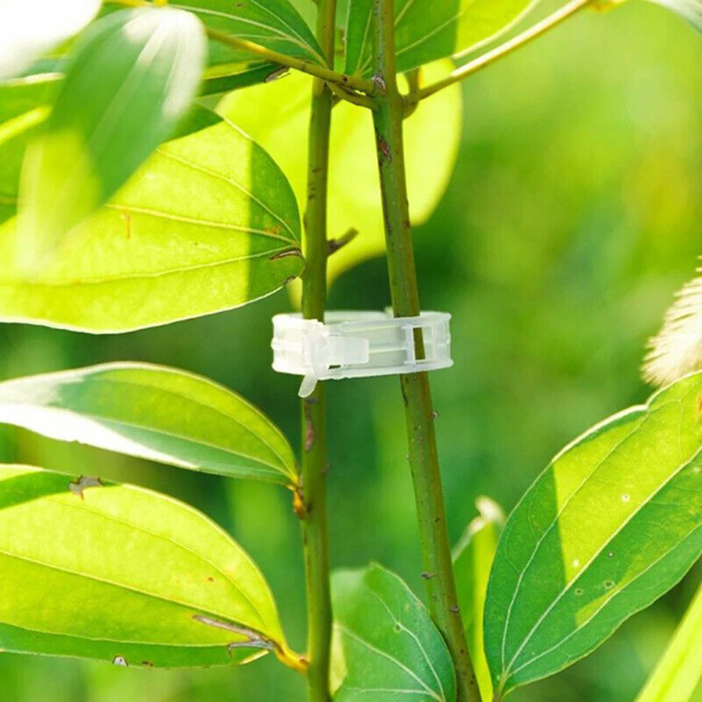 200Pcs Garden Plant Clips For Vegetable Fruits Growing Plant Holder Plastic Fixing Bracket Ring Garden Stand Vine Support Clips
200Pcs Garden Plant Clips For Vegetable Fruits Growing Plant Holder Plastic Fixing Bracket Ring Garden Stand Vine Support Clips