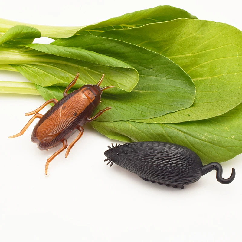Automatic Cat Toy Vibrating Crawling Electric Cockroach Mouse Spider Tricking Mini Toy Funny Cat Dog Simulation Pet Supplies
Automatic Cat Toy Vibrating Crawling Electric Cockroach Mouse Spider Tricking Mini Toy Funny Cat Dog Simulation Pet Supplies