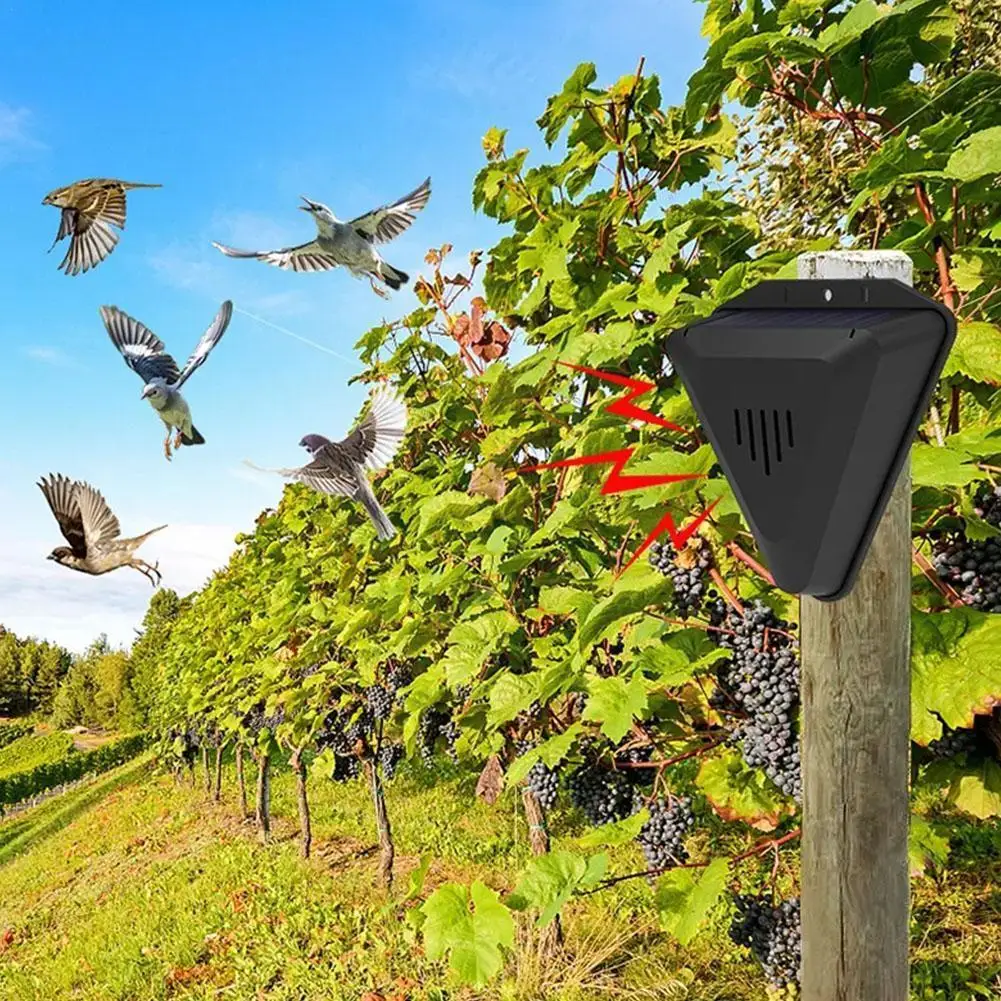 Solar Alarm With Motion Sensor Home Yard Outdoor Wireless Flash Lamp Waterproof Solar Strobe Solar Light Siren Powered Alar K0r4
Solar Alarm With Motion Sensor Home Yard Outdoor Wireless Flash Lamp Waterproof Solar Strobe Solar Light Siren Powered Alar K0r4