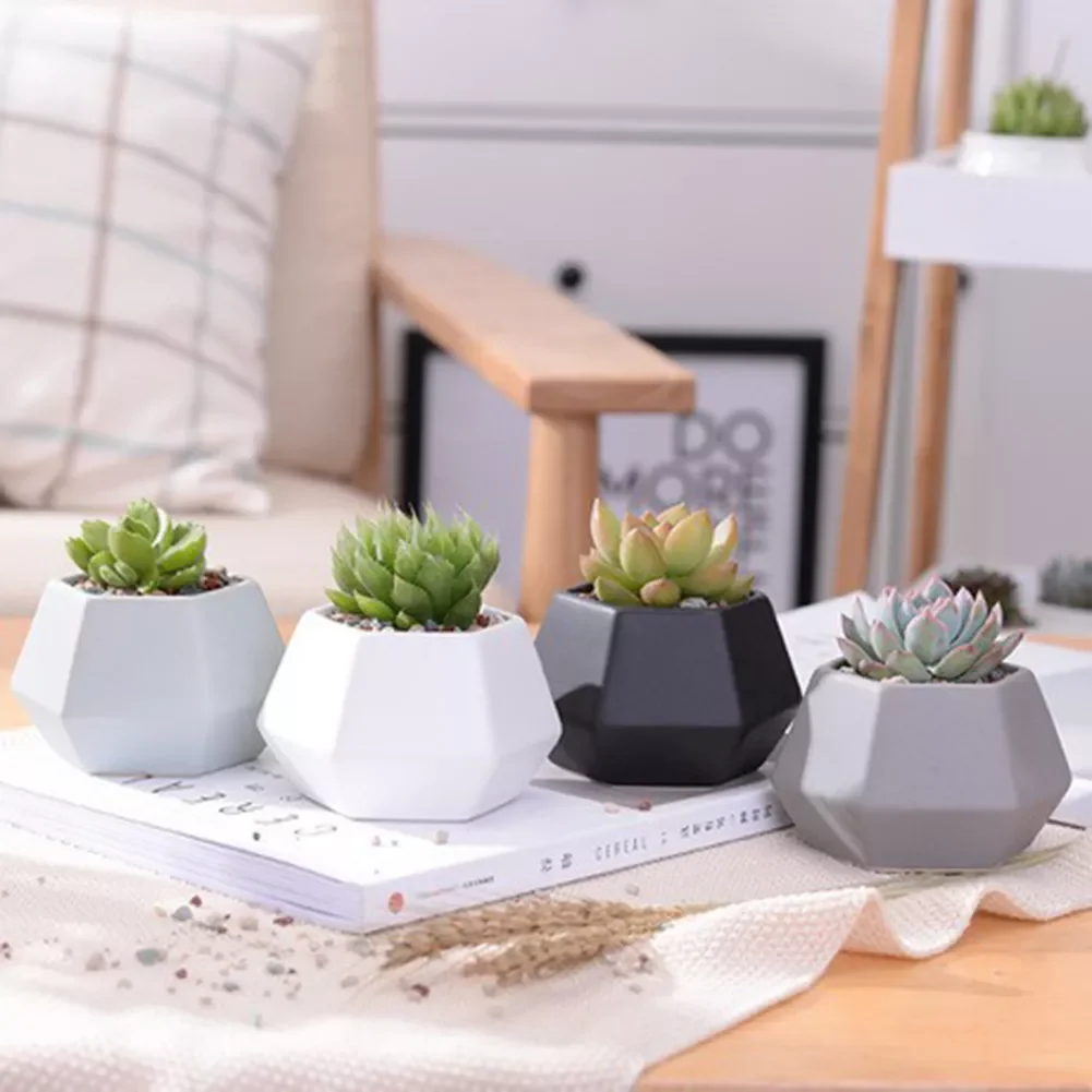 Reusable Flowerpot Epoxy Silicone 3D Mold Succulent Flower Plant Pot Concrete Cement Clay Mold Resin Candle Soap Making Mould
Reusable Flowerpot Epoxy Silicone 3D Mold Succulent Flower Plant Pot Concrete Cement Clay Mold Resin Candle Soap Making Mould