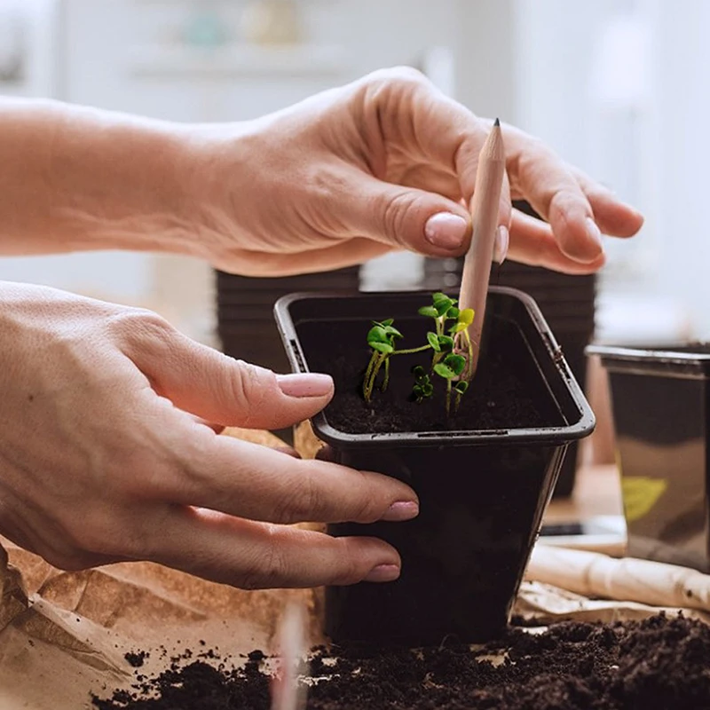 8PCS Idea Germination Pencil Set To Grow Pencil Mini DIY Desktop Potted Plant Special Gifts Artistic Pencil
8PCS Idea Germination Pencil Set To Grow Pencil Mini DIY Desktop Potted Plant Special Gifts Artistic Pencil