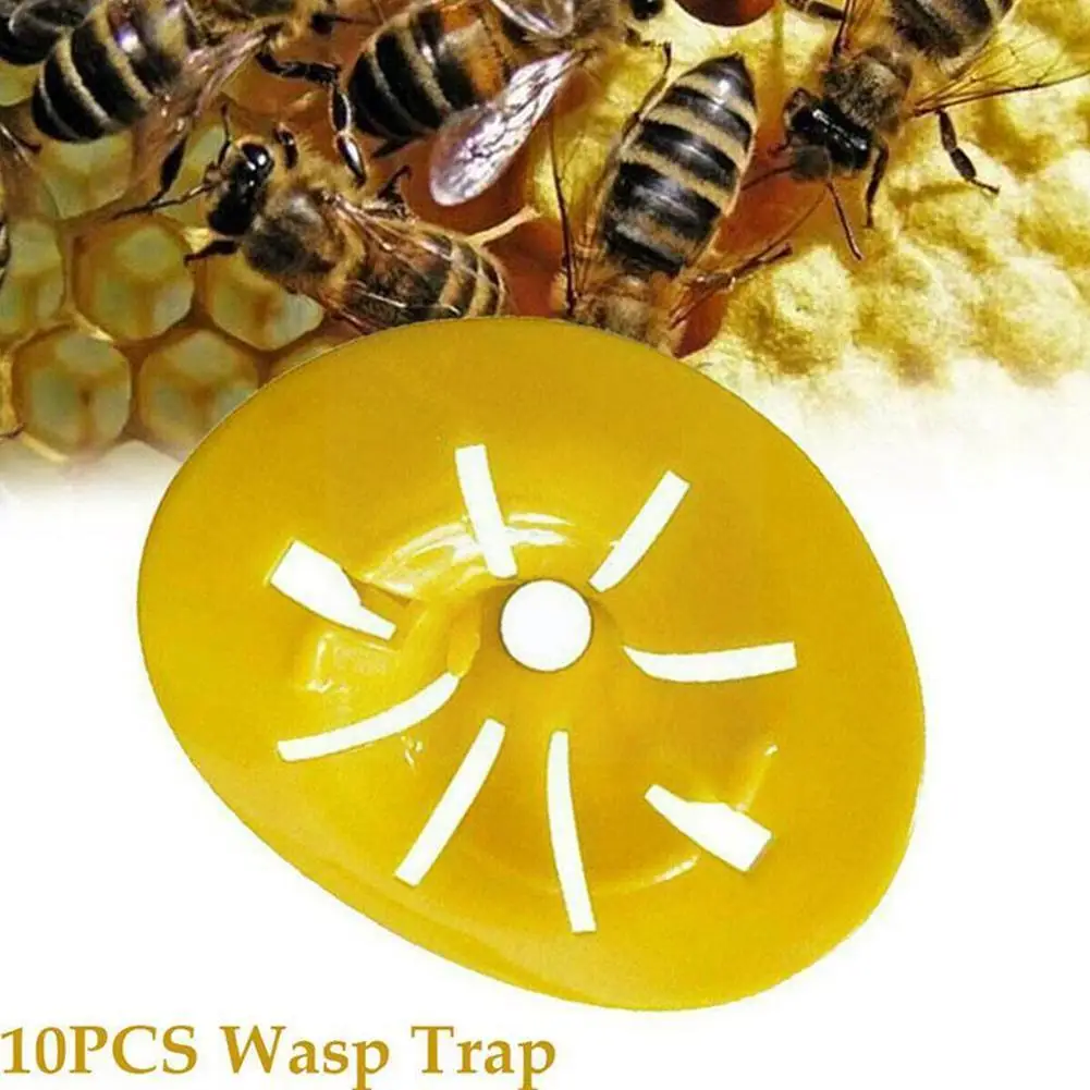 10 Pack Wasp Trap Hornets Yellow Jackets Wasp Repellent Bee Bee Catcher Outdoor Fly Trap Hornet Traps And Trap Hanging Wasp D9y1
10 Pack Wasp Trap Hornets Yellow Jackets Wasp Repellent Bee Bee Catcher Outdoor Fly Trap Hornet Traps And Trap Hanging Wasp D9y1