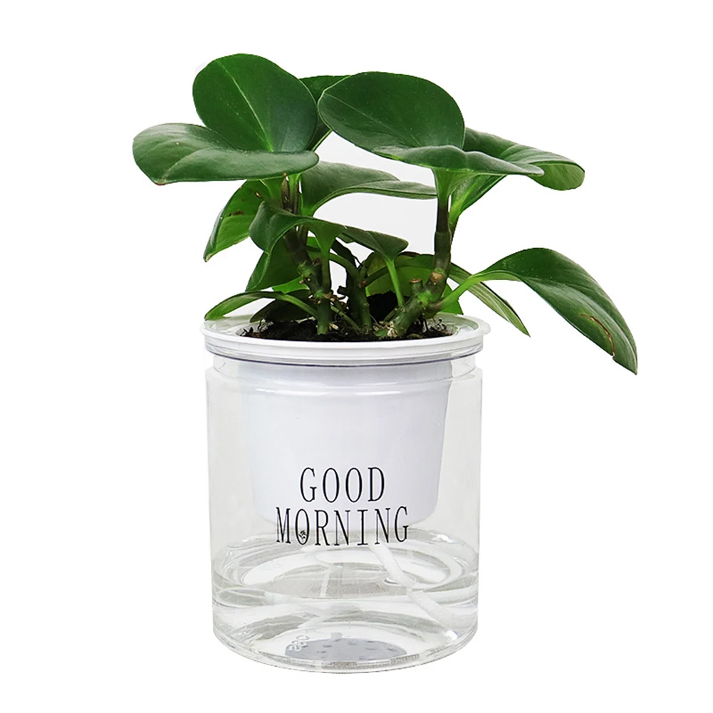 Plants Pots PET Hydroponic Self-watering Flowerpot Flower Pot Automatic Water Absorption Flat/Round Bottom Garden Tools
Plants Pots PET Hydroponic Self-watering Flowerpot Flower Pot Automatic Water Absorption Flat/Round Bottom Garden Tools