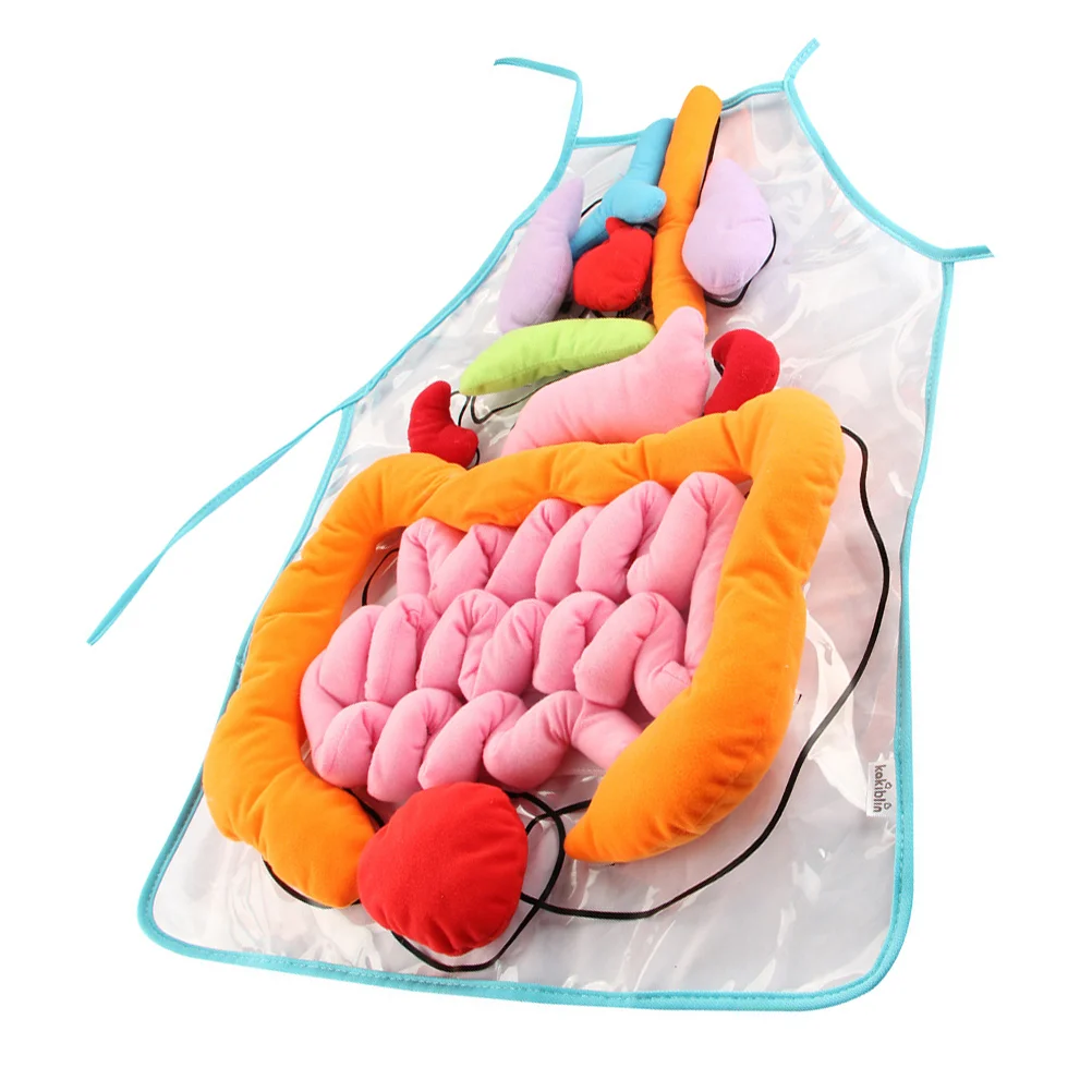Apron Humanbodyanatomy 3D Educational Kids Toycognitive Teaching Tool Plush Viscera Education Model Preschool Children Aprons
Apron Humanbodyanatomy 3D Educational Kids Toycognitive Teaching Tool Plush Viscera Education Model Preschool Children Aprons
