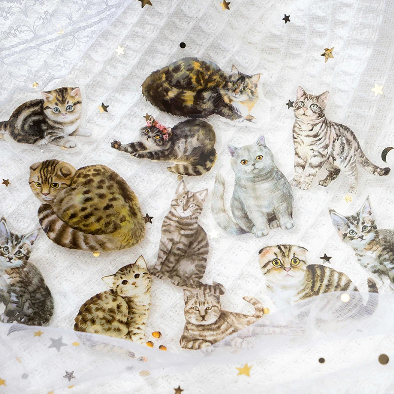 20Packs Wholesale Cat Stickers hand account material decorative orange white black Office Scrapbooking Base Paper cartoon
20Packs Wholesale Cat Stickers hand account material decorative orange white black Office Scrapbooking Base Paper cartoon