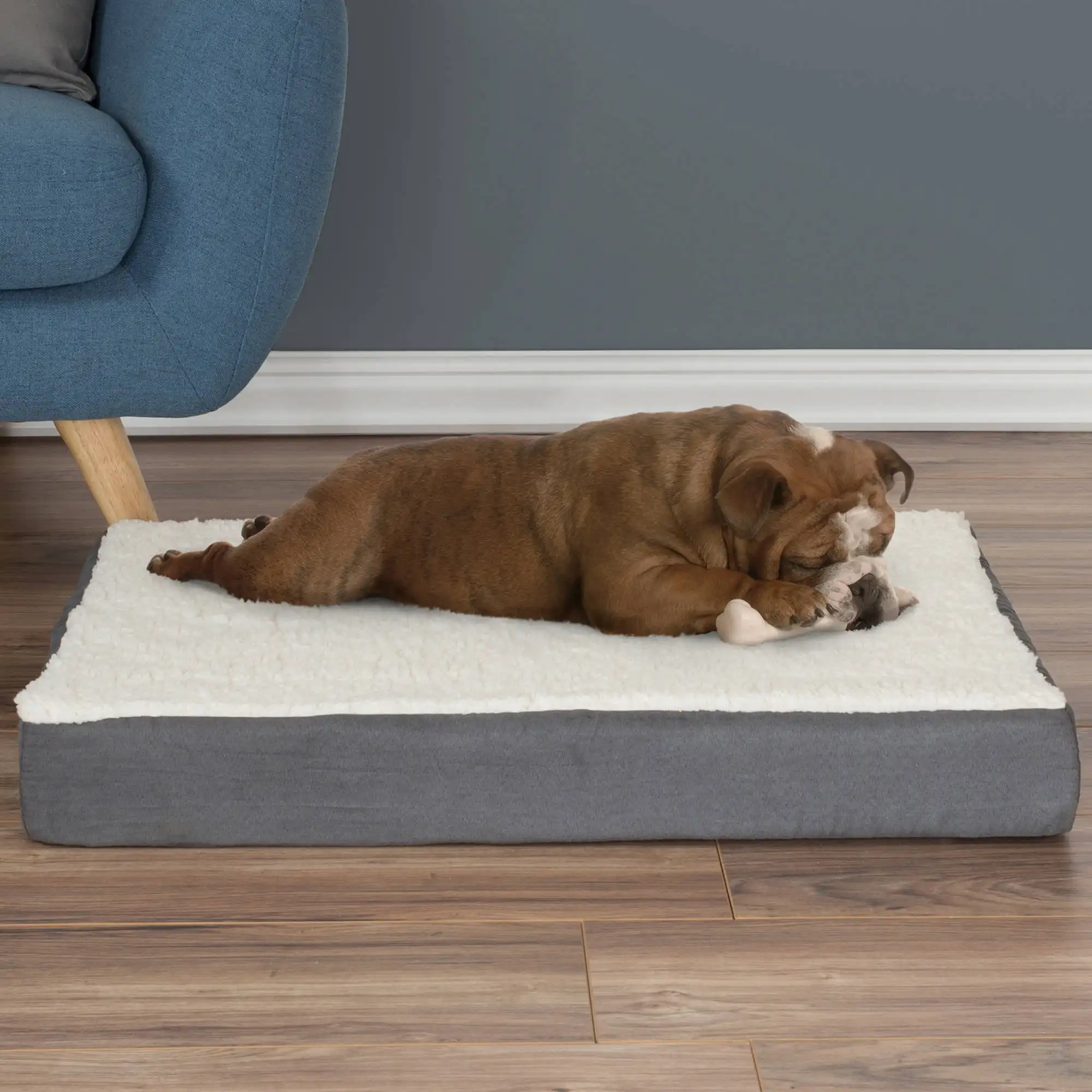 Orthopedic Dog Bed 2-Layer Memory Foam Dog Bed with Machine Washable Sherpa Cover 30x20.5 Dog Bed for Medium Dogs up to 45lb
Orthopedic Dog Bed 2-Layer Memory Foam Dog Bed with Machine Washable Sherpa Cover 30x20.5 Dog Bed for Medium Dogs up to 45lb