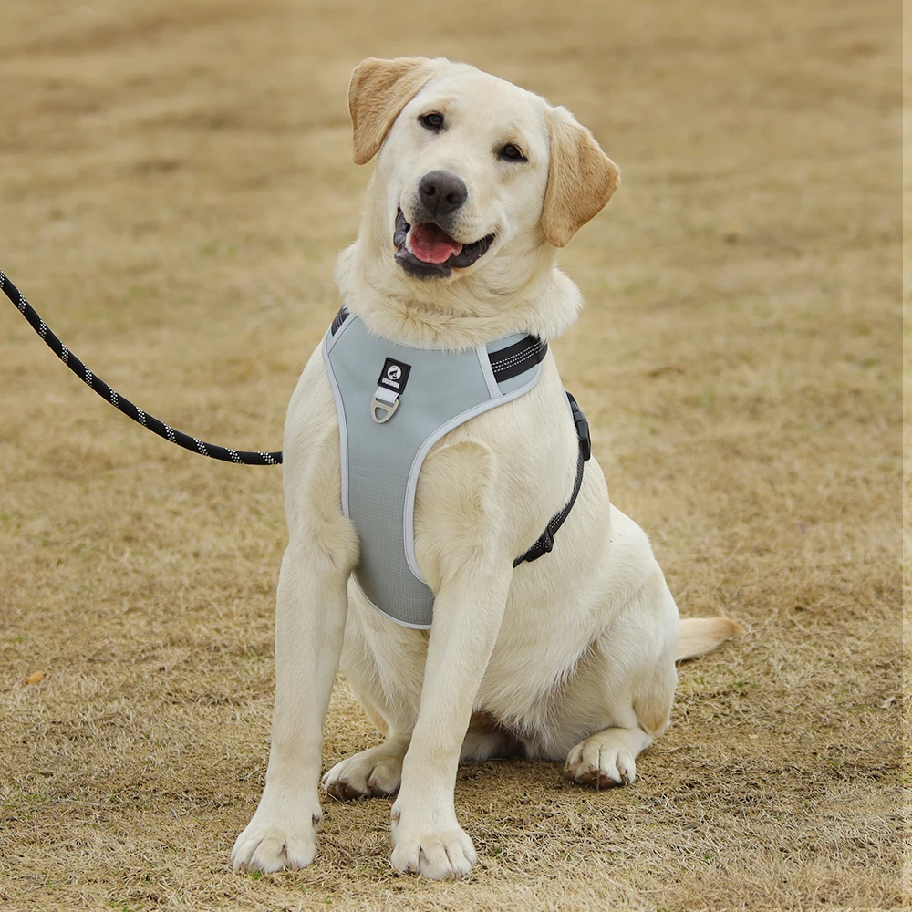 2022 New Pet Dog Harness No Pull Fabric Breathable and Reflective Dog Harness Vest for Medium Big Dog Running Training Harnesses
2022 New Pet Dog Harness No Pull Fabric Breathable and Reflective Dog Harness Vest for Medium Big Dog Running Training Harnesses
