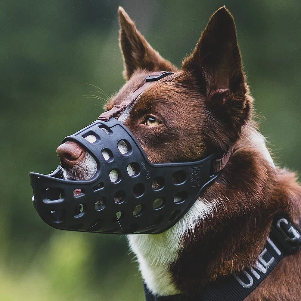 Dog Muzzle, Soft Basket Muzzle for Dogs, Prevents Biting, Chewing and Licking, Allows Panting and Drinking
Dog Muzzle, Soft Basket Muzzle for Dogs, Prevents Biting, Chewing and Licking, Allows Panting and Drinking