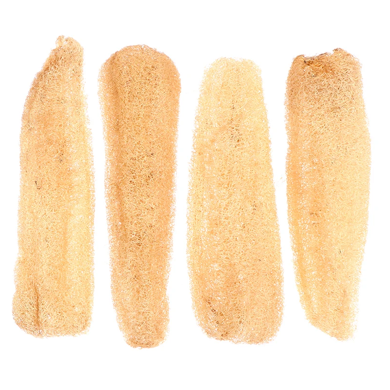 Полностью биоразлагаемая Губка из люфы, натуральная отшелушивающая целлюлоза, натуральная душевая губка, скребок для кухни и ванной комнат...
Полностью биоразлагаемая Губка из люфы, натуральная отшелушивающая целлюлоза, натуральная душевая губка, скребок для кухни и ванной комнат...