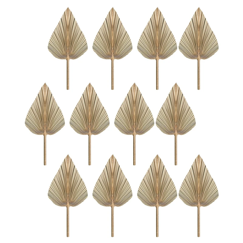 New 12Pcs Dried Palm Leaves Dried Palm Fans Bohemian Dried Palm Spears Artificial Plants Palm Leaves Tropical Palm Leaves
New 12Pcs Dried Palm Leaves Dried Palm Fans Bohemian Dried Palm Spears Artificial Plants Palm Leaves Tropical Palm Leaves