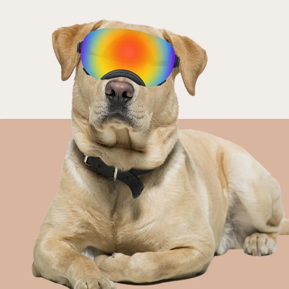 Pet Dog Sunglasses With Adjustable Strap Uv Protection Windproof Goggles For Medium-large Dog Pet Glasses 
Pet Dog Sunglasses With Adjustable Strap Uv Protection Windproof Goggles For Medium-large Dog Pet Glasses