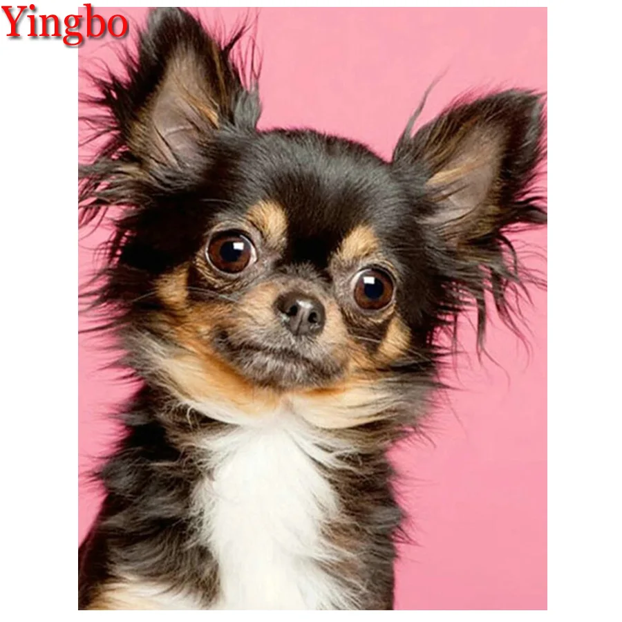 Набор для алмазной вышивки «Чихуахуа», картина 5D «сделай сам» с изображением собак, рождественский подарок, вышивка крестиком
Набор для алмазной вышивки «Чихуахуа», картина 5D «сделай сам» с изображением собак, рождественский подарок, вышивка крестиком