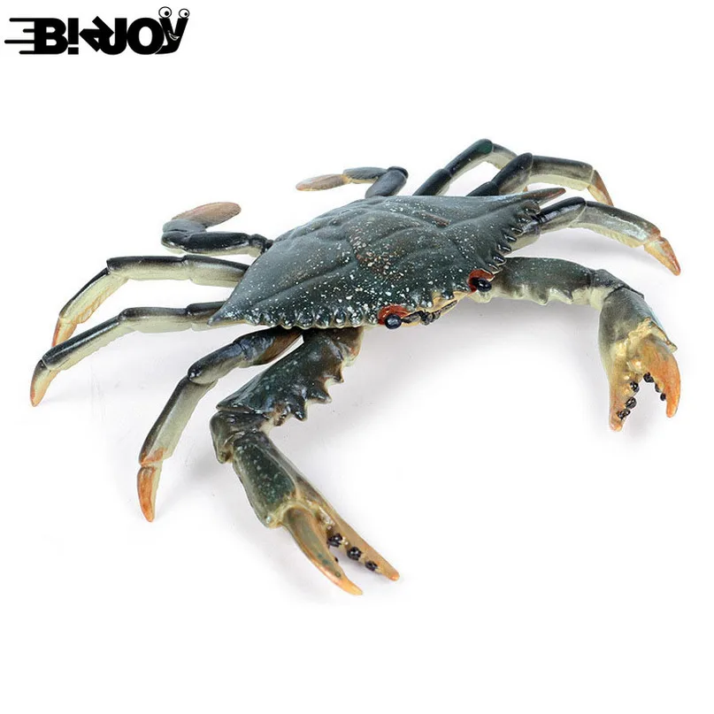 Simulation Crab Children's Marine Wildlife Toy Large Flower Hairy Crabs Model Educational Toys for Children Kids Birthday Gift
Simulation Crab Children's Marine Wildlife Toy Large Flower Hairy Crabs Model Educational Toys for Children Kids Birthday Gift