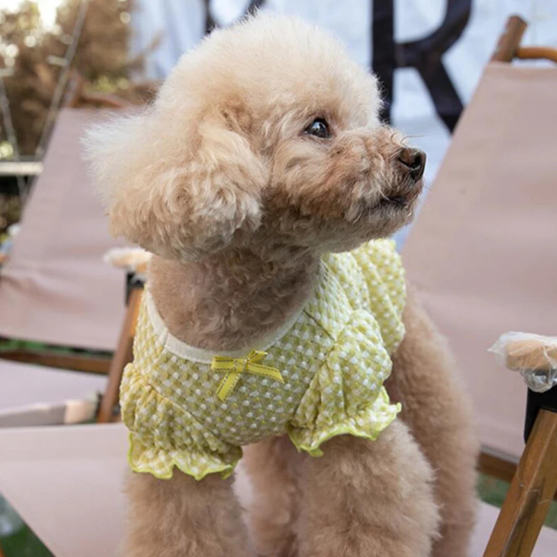 Dog Shirt Summer Cat Clothing Tops Pomeranian Dog Clothes Apparel Yorkie Yorkshire Bichon Poodle Schnauzer Pet Costume Outfit
Dog Shirt Summer Cat Clothing Tops Pomeranian Dog Clothes Apparel Yorkie Yorkshire Bichon Poodle Schnauzer Pet Costume Outfit