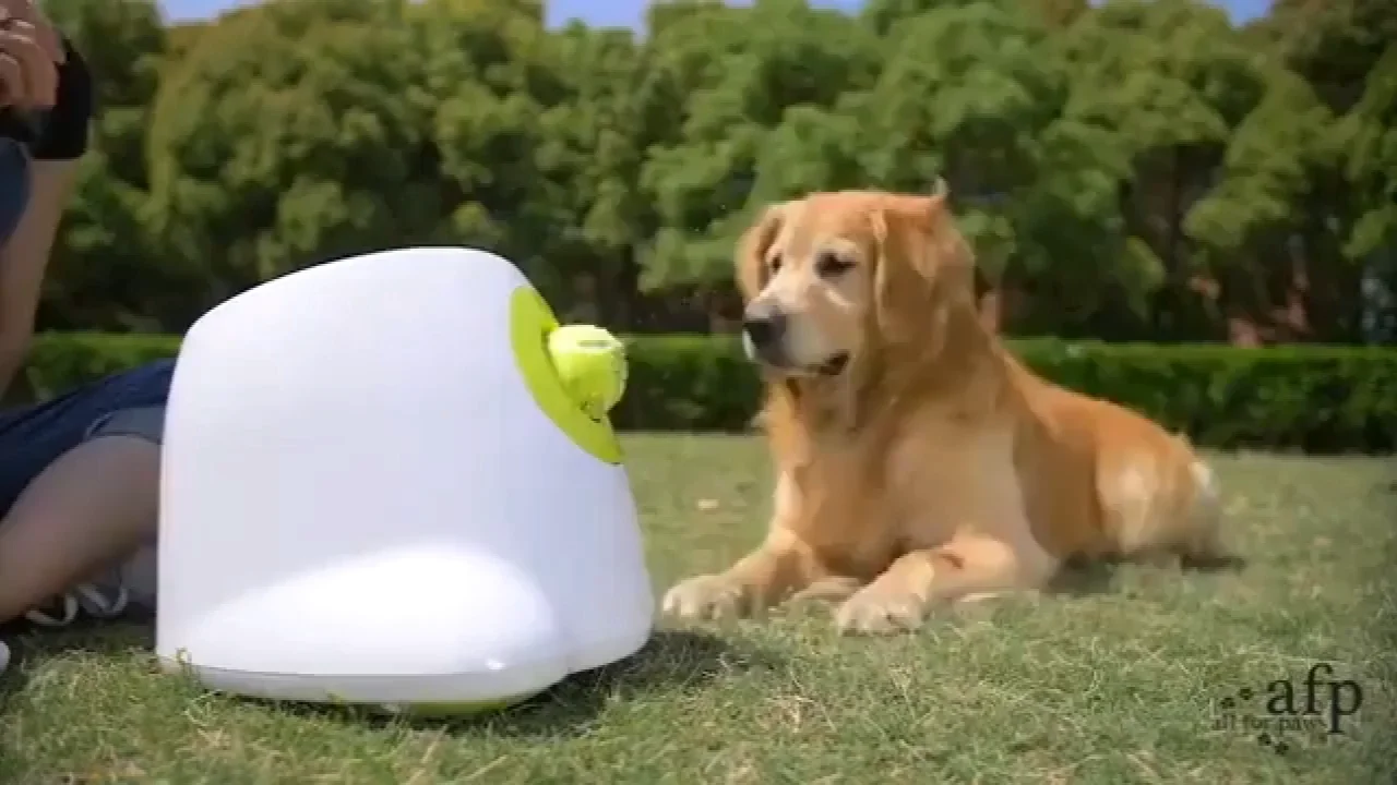 Dog Pet Toy Tennis Launcher Dog Interactive Automatic Ball Launcher Pet Ball Throwing Device 3/6/9m Dog Training
Dog Pet Toy Tennis Launcher Dog Interactive Automatic Ball Launcher Pet Ball Throwing Device 3/6/9m Dog Training