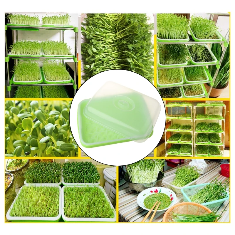 Seed Sprouter Tray BPA Free PP Soil-Free Healthy Wheatgrass Grower with Cover Seedling Sprout Plate Hydro
Seed Sprouter Tray BPA Free PP Soil-Free Healthy Wheatgrass Grower with Cover Seedling Sprout Plate Hydro