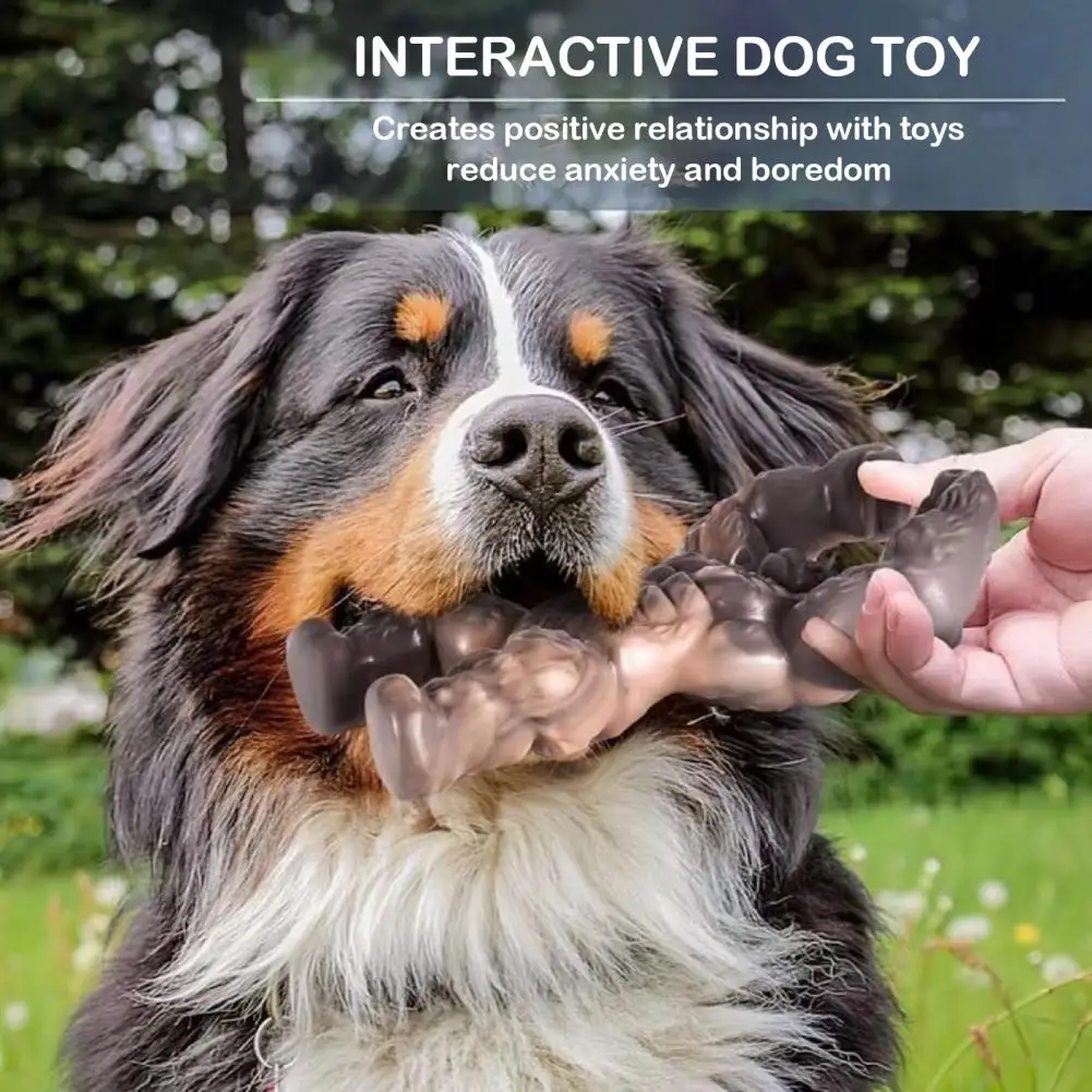 Pet Toy Durable Dog Chew Toys for Chewers Beef Flavored Teeth Toy for Dogs Long-lasting Pet Molar Supplies for Heavy
Pet Toy Durable Dog Chew Toys for Chewers Beef Flavored Teeth Toy for Dogs Long-lasting Pet Molar Supplies for Heavy