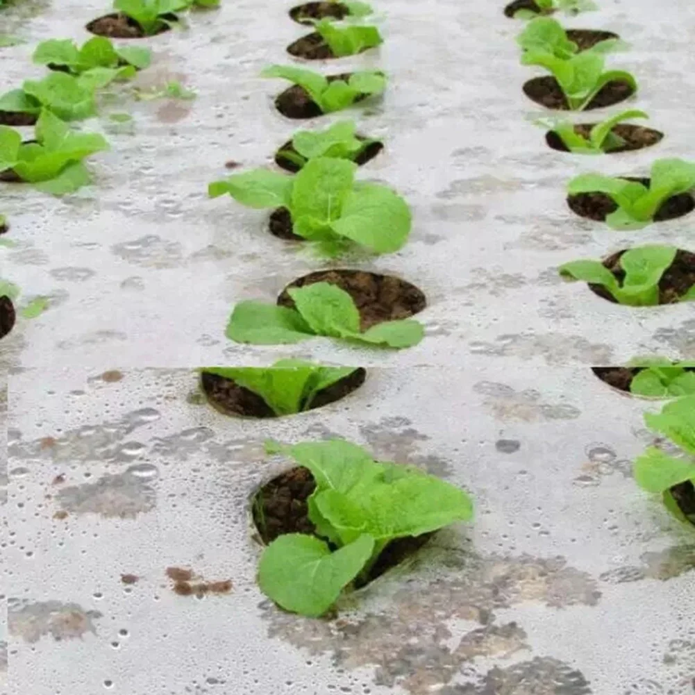 Ground Cover Plants Film Perforated Mulch 10m*0.95m/10m*1.35m Anti Grass Farm Vegetable Gardening Tools PE Film
Ground Cover Plants Film Perforated Mulch 10m*0.95m/10m*1.35m Anti Grass Farm Vegetable Gardening Tools PE Film