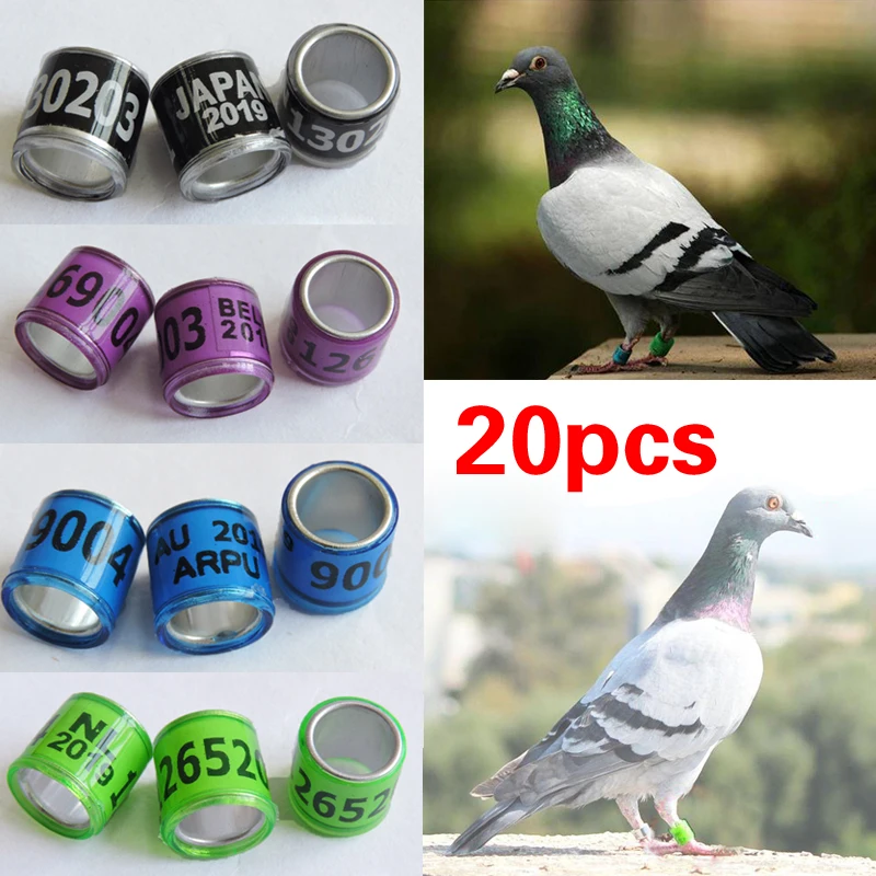 20Pcs Multicolor Pigeon Foot Ring with Word Earrings Durable Bird Ring Pigeon Racing Rings Bird Training Identification Circle
20Pcs Multicolor Pigeon Foot Ring with Word Earrings Durable Bird Ring Pigeon Racing Rings Bird Training Identification Circle