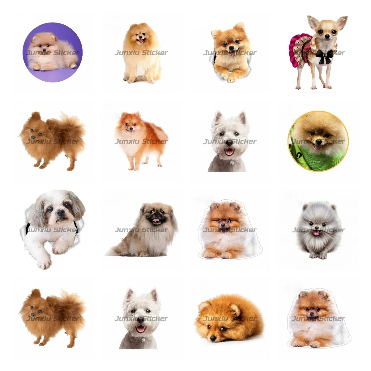 Beautiful Animal Pomeranian Dog Car-Stickers Car Bumper Car Styling Decoration Door Body Window Vinyl Waterproof Stickers
Beautiful Animal Pomeranian Dog Car-Stickers Car Bumper Car Styling Decoration Door Body Window Vinyl Waterproof Stickers
