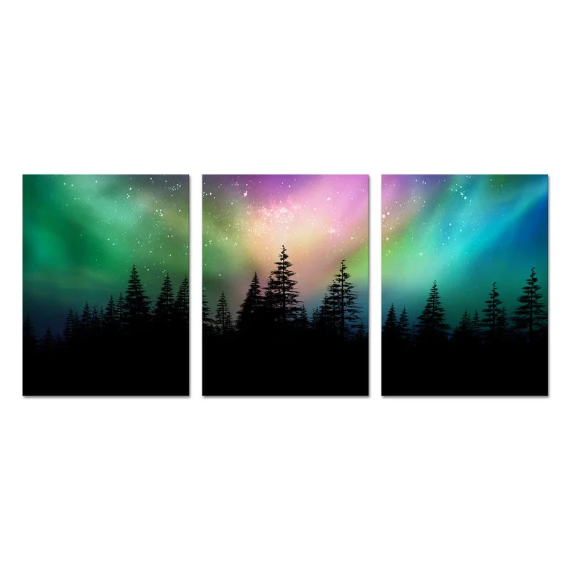3 Pieces Beautiful Aurora Wall Art Poster Forest Landscape Print Canvas Art Modern Style Picture Living Room Home Decor
3 Pieces Beautiful Aurora Wall Art Poster Forest Landscape Print Canvas Art Modern Style Picture Living Room Home Decor