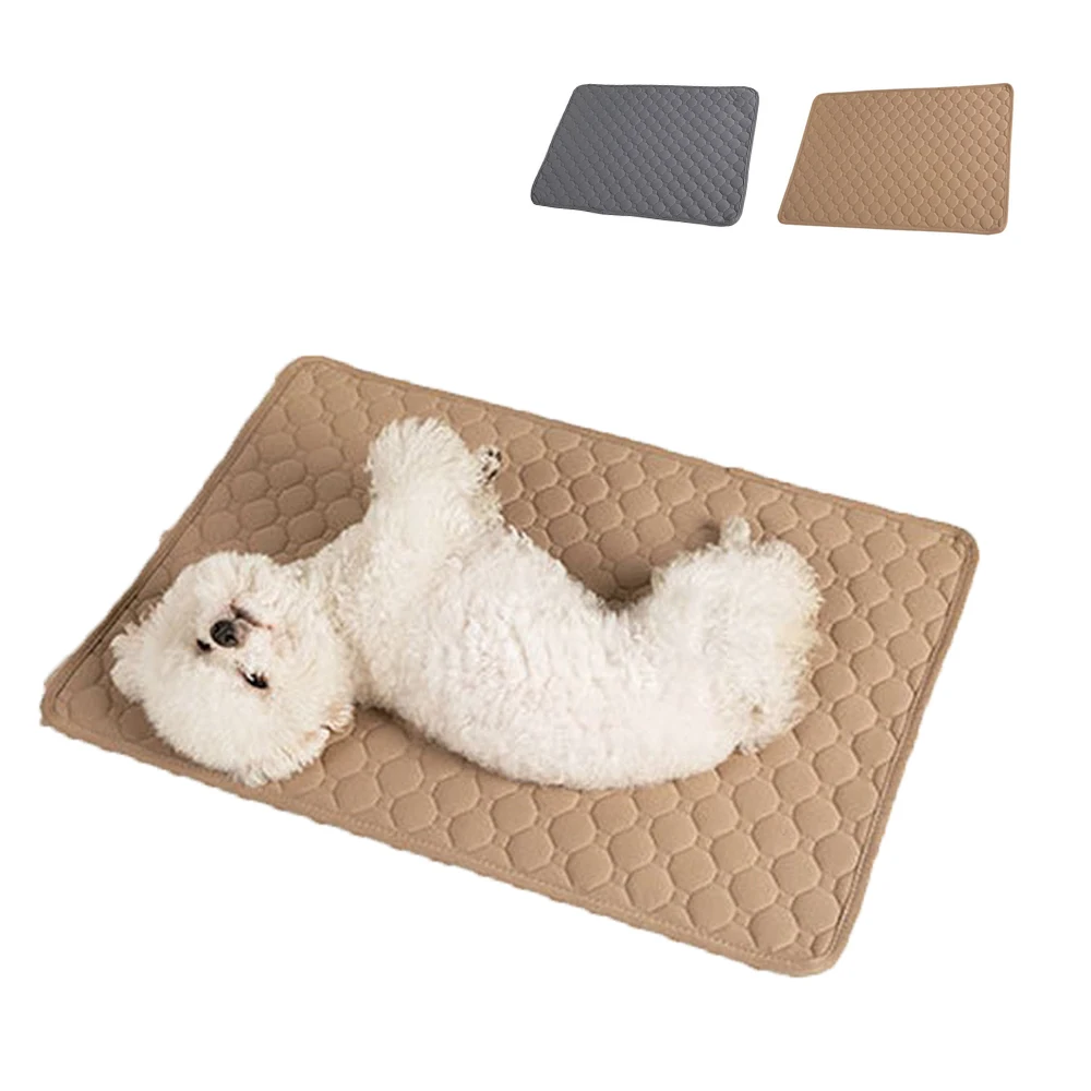 Waterproof Dog Diaper Reusable Pet Mat Training Pad Puppy Training Cushion Dog Pee Blanket Urine Mat for Dogs Cat Car Seat Cover
Waterproof Dog Diaper Reusable Pet Mat Training Pad Puppy Training Cushion Dog Pee Blanket Urine Mat for Dogs Cat Car Seat Cover