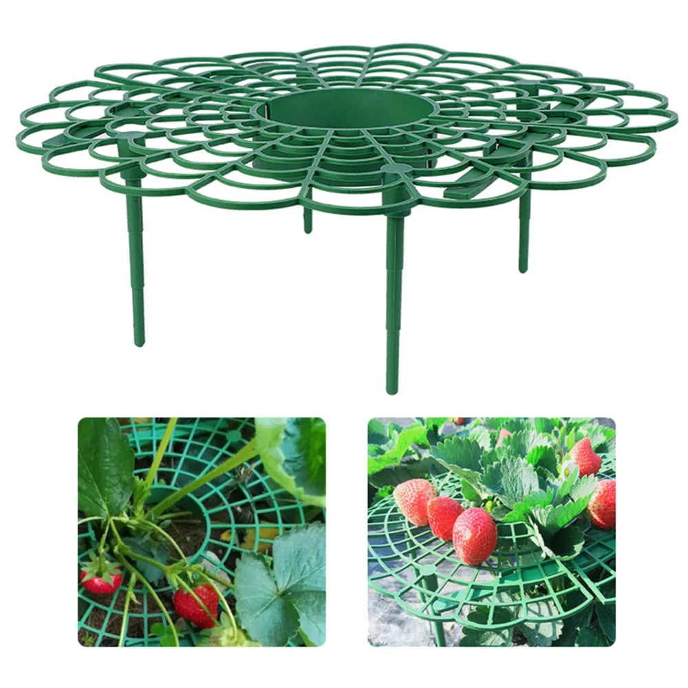 Eggplant Supports Balcony Potted Fruit Green Plant Tray Holder Round Fixed Splice Gardening Bracket Plastic Strawberry Stand
Eggplant Supports Balcony Potted Fruit Green Plant Tray Holder Round Fixed Splice Gardening Bracket Plastic Strawberry Stand