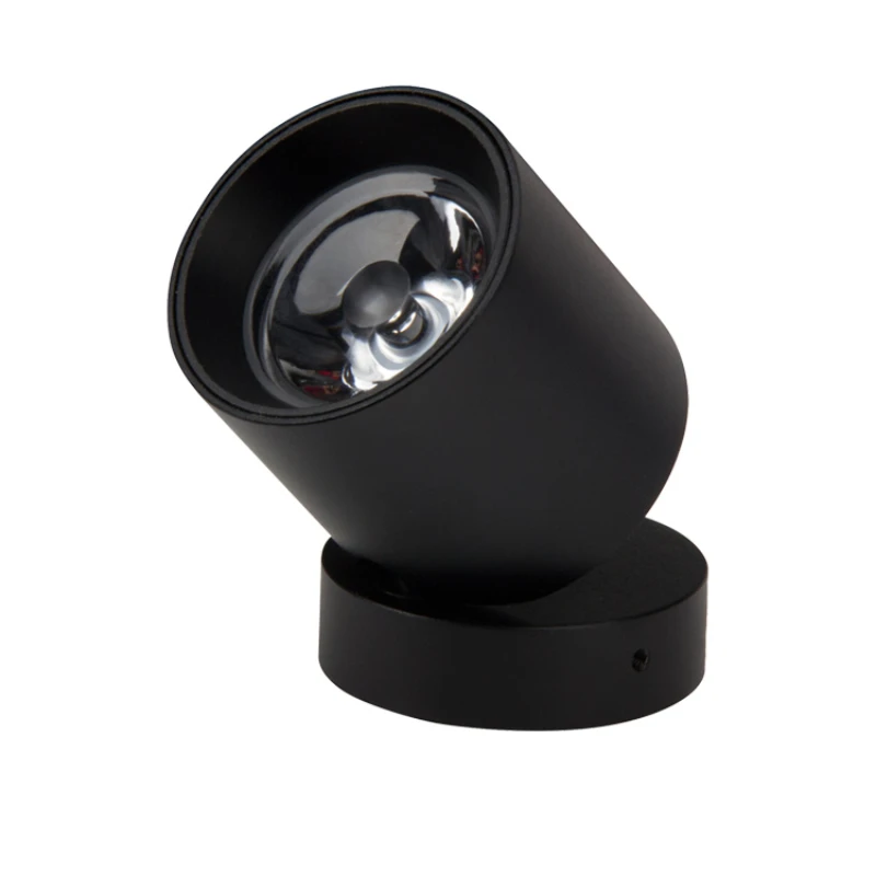 Surface Mounted Ceiling Spotlights Mini Small Spot Indoor Hotel Shop IP44 display showcase led jewelry light
Surface Mounted Ceiling Spotlights Mini Small Spot Indoor Hotel Shop IP44 display showcase led jewelry light