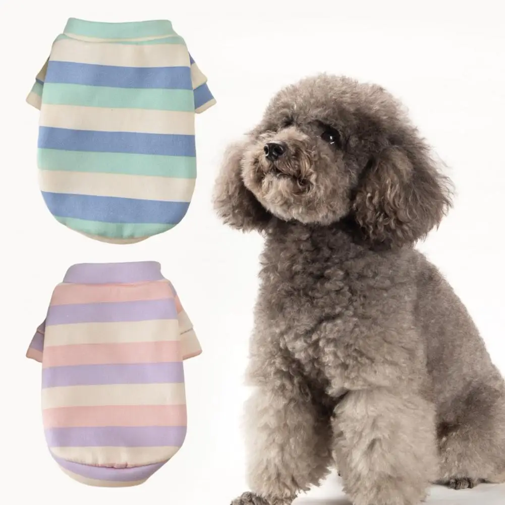 PETWTILTIH Lovely Pet Vest Round Neck Keep Warm Soft Hoodie Small Dog Teddy Two-legged Sweater
PETWTILTIH Lovely Pet Vest Round Neck Keep Warm Soft Hoodie Small Dog Teddy Two-legged Sweater