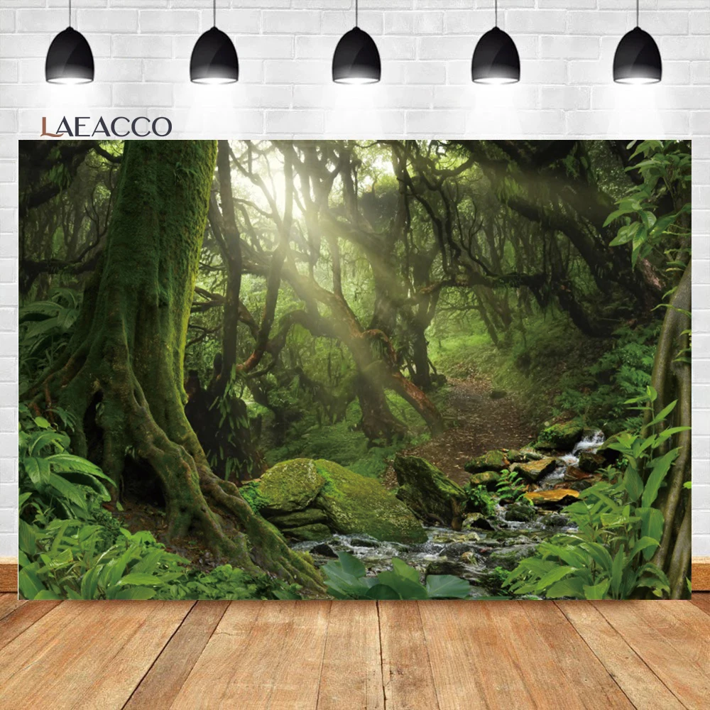 

Laeacco Forest Jungle Rock Flowing Evergreen Mountain Stream Natural Scenery Background Kid Adults Portrait Photography Backdrop