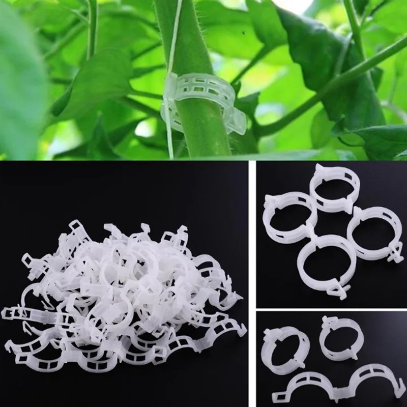 50pcs Fastern Plant Clips Buckle Hook Plastic Supports Connects Reusable Holder Gardening Supplies For Vegetable Tomato
50pcs Fastern Plant Clips Buckle Hook Plastic Supports Connects Reusable Holder Gardening Supplies For Vegetable Tomato