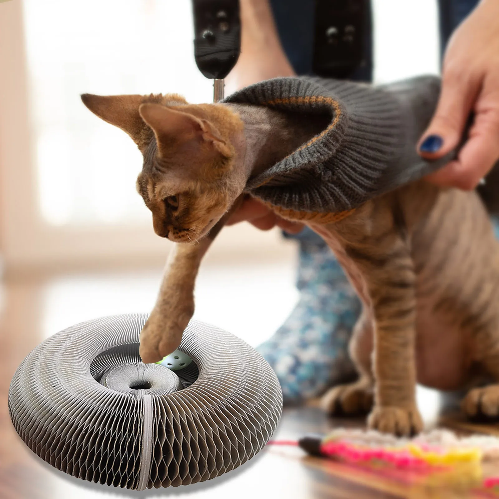 Round Cats Scratching Board With Toy Bell Ball Pet Supply Kitten Toy Folding Corrugated Cats Nest Magic Organ Cats Scratch Board
Round Cats Scratching Board With Toy Bell Ball Pet Supply Kitten Toy Folding Corrugated Cats Nest Magic Organ Cats Scratch Board