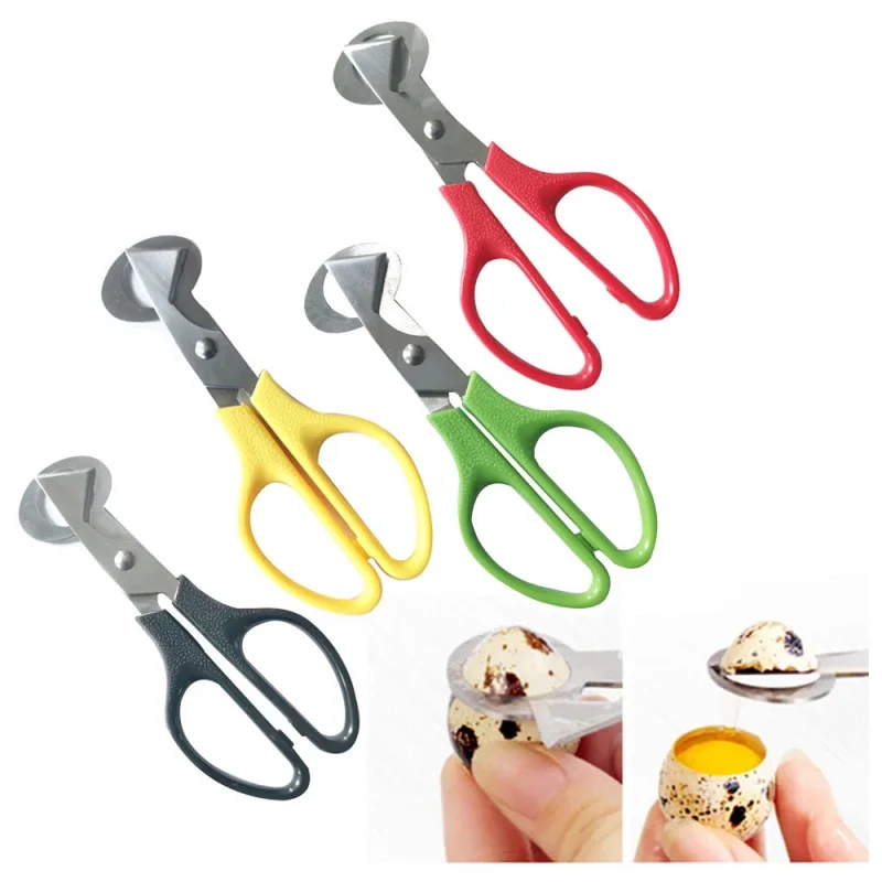 Creative Stainless Steel Cut Whisk Egg Apparatus Pigeon Quail Egg Scissor Bird Opener Kitchen Tool Clipper Gen Eggshell Cutter 
Creative Stainless Steel Cut Whisk Egg Apparatus Pigeon Quail Egg Scissor Bird Opener Kitchen Tool Clipper Gen Eggshell Cutter