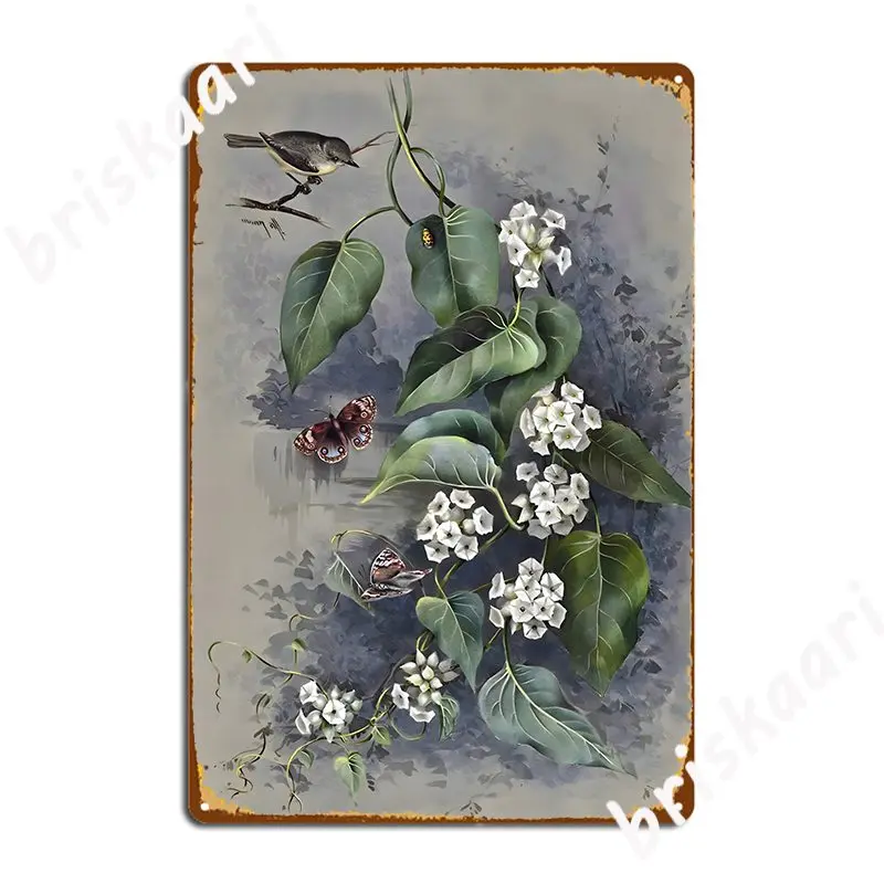 Lepistemon Urceolatus Rbr Fmuell металлический знак таблички настенные винтажные фотоплакаты 
Lepistemon Urceolatus Rbr Fmuell металлический знак таблички настенные винтажные фотоплакаты