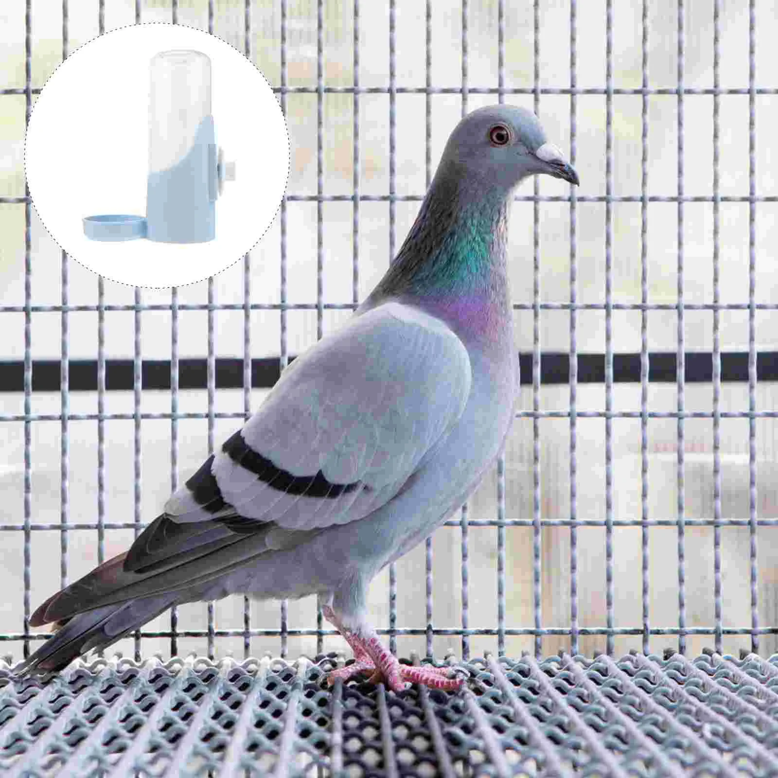 Bird Water Feeder Cage Pet Automatic Dispenser Waterer Bottleparrotsparrot Bowl Gravity Feeding Container Accessories Cups 
Bird Water Feeder Cage Pet Automatic Dispenser Waterer Bottleparrotsparrot Bowl Gravity Feeding Container Accessories Cups