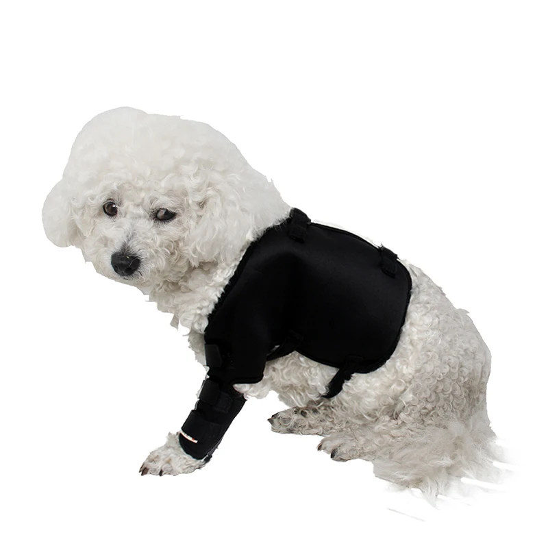 After Surgery Dog Wear Hip and Thigh Wound Protective Sleeve for Dogs Puppy Recovery Sleeve for Left Front Legs Pet Supplies
After Surgery Dog Wear Hip and Thigh Wound Protective Sleeve for Dogs Puppy Recovery Sleeve for Left Front Legs Pet Supplies