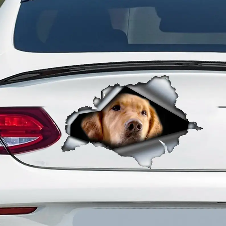 Decal Golden Retriever , Golden Retriever magnet, Golden Retriever sticker, car decoration
Decal Golden Retriever , Golden Retriever magnet, Golden Retriever sticker, car decoration